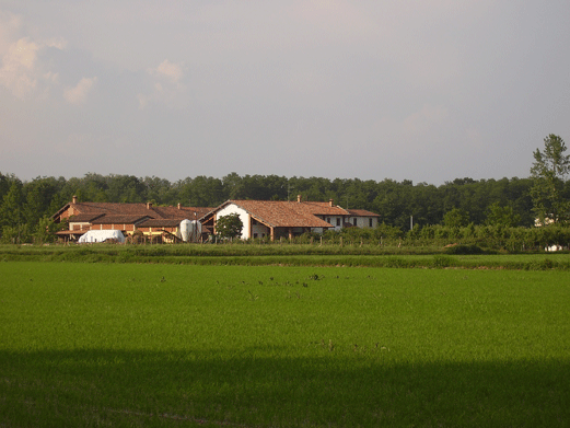 Studio Emys è uno Studio Associato Naturalistico che si occupa di Consulenza Tecnico Ambientale, Educazione Ambientale nelle riserve naturali della Provincia di Pavia e nel Parco del Ticino Studio Emys è uno Studio Associato Naturalistico che si occupa di Consulenza Tecnico Ambientale, Educazione Ambientale nelle riserve naturali della Provincia di Pavia e nel Parco del Ticino