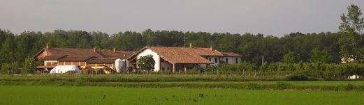 Studio Emys consulenza naturalistico ambientale studio valutazione di incidenza valutazione di impatto ambientale valutazione ambientale strategica relazioni paesaggistiche fitodepurazione licheni