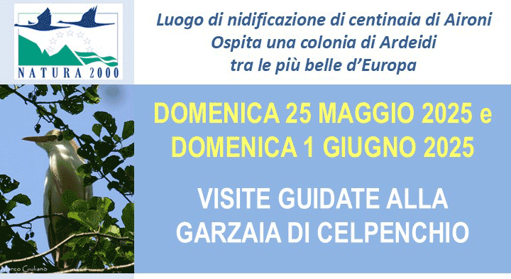 Studio Emys consulenza naturalistico ambientale studio valutazione di incidenza valutazione di impatto ambientale valutazione ambientale strategica relazioni paesaggistiche fitodepurazione licheni Studio Emys consulenza naturalistico ambientale studio valutazione di incidenza valutazione di impatto ambientale valutazione ambientale strategica relazioni paesaggistiche fitodepurazione licheni