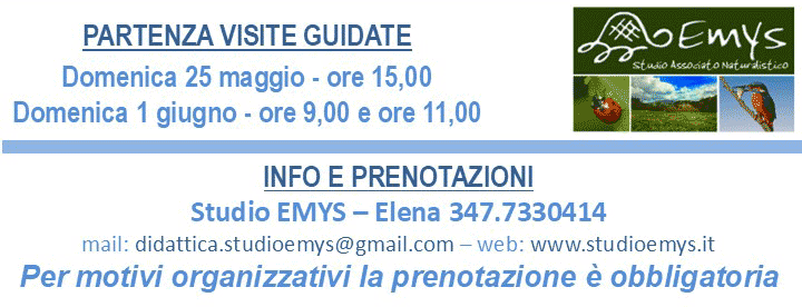 Studio Emys consulenza naturalistico ambientale studio valutazione di incidenza valutazione di impatto ambientale valutazione ambientale strategica relazioni paesaggistiche fitodepurazione licheni Studio Emys consulenza naturalistico ambientale studio valutazione di incidenza valutazione di impatto ambientale valutazione ambientale strategica relazioni paesaggistiche fitodepurazione licheni