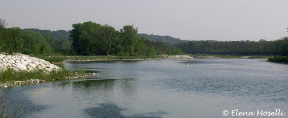 Studio Emys è uno Studio Associato Naturalistico che si occupa di Consulenza Tecnico Ambientale, Educazione Ambientale nelle riserve naturali della Provincia di Pavia e nel Parco del Ticino Studio Emys è uno Studio Associato Naturalistico che si occupa di Consulenza Tecnico Ambientale, Educazione Ambientale nelle riserve naturali della Provincia di Pavia e nel Parco del Ticino