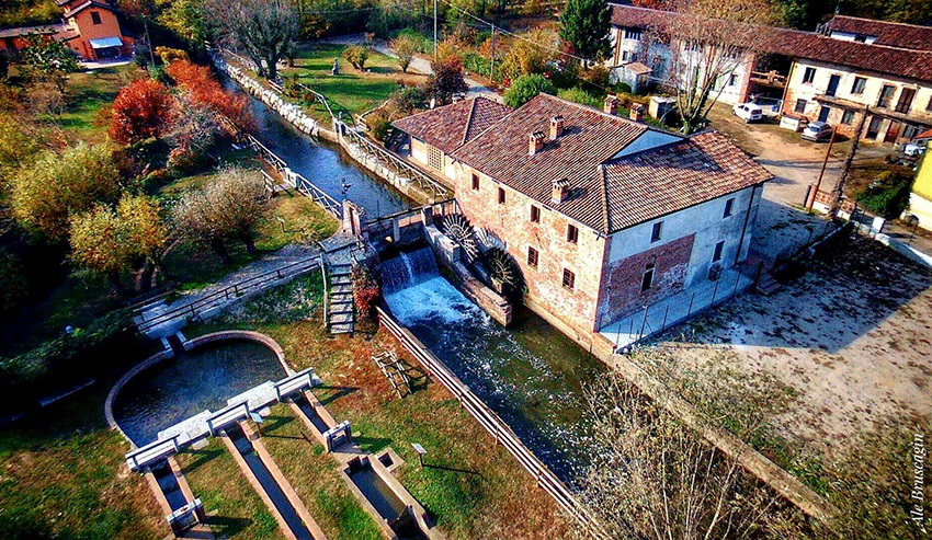 Studio Emys consulenza naturalistico ambientale studio valutazione di incidenza valutazione di impatto ambientale valutazione ambientale strategica relazioni paesaggistiche fitodepurazione licheni