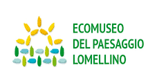 Studio Emys consulenza naturalistico ambientale studio valutazione di incidenza valutazione di impatto ambientale valutazione ambientale strategica relazioni paesaggistiche fitodepurazione licheni