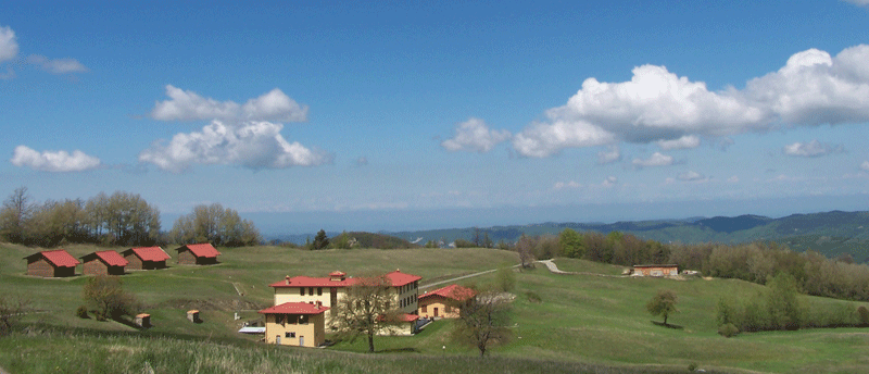 Studio Emys consulenza naturalistico ambientale studio valutazione di incidenza valutazione di impatto ambientale valutazione ambientale strategica relazioni paesaggistiche fitodepurazione licheni