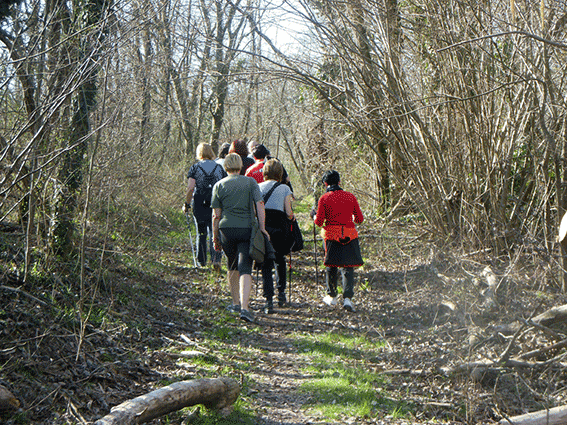 Studio Emys consulenza naturalistico ambientale studio valutazione di incidenza valutazione di impatto ambientale valutazione ambientale strategica relazioni paesaggistiche fitodepurazione licheni