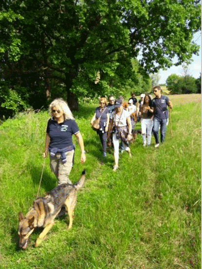 Studio Emys consulenza naturalistico ambientale studio valutazione di incidenza valutazione di impatto ambientale valutazione ambientale strategica relazioni paesaggistiche fitodepurazione licheni