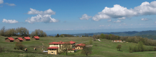 Studio Emys consulenza naturalistico ambientale studio valutazione di incidenza valutazione di impatto ambientale valutazione ambientale strategica relazioni paesaggistiche fitodepurazione licheni