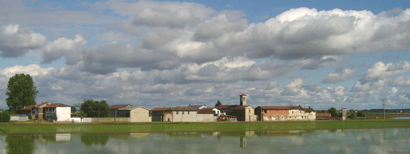 Studio Emys consulenza naturalistico ambientale studio valutazione di incidenza valutazione di impatto ambientale valutazione ambientale strategica relazioni paesaggistiche fitodepurazione licheni