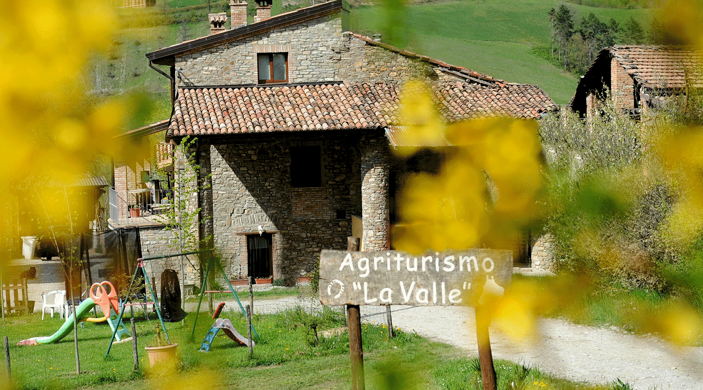 Studio Emys consulenza naturalistico ambientale studio valutazione di incidenza valutazione di impatto ambientale valutazione ambientale strategica relazioni paesaggistiche fitodepurazione licheni