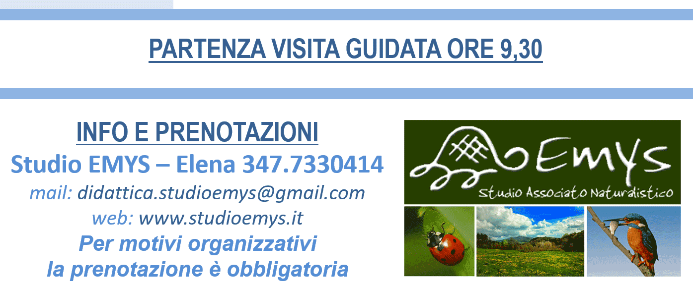 Studio Emys consulenza naturalistico ambientale studio valutazione di incidenza valutazione di impatto ambientale valutazione ambientale strategica relazioni paesaggistiche fitodepurazione licheni